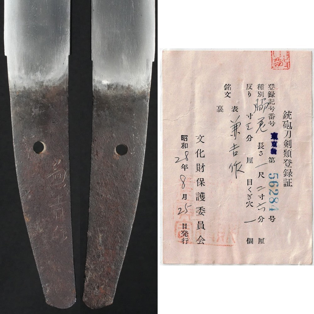 Japanese Antique Antique Wakizashi Shirasaya Kaneyoshi saku (Seki) 15.03in NBTHK9