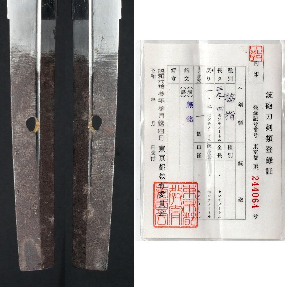 Japanese Samurai Sword Antique Concealed sword Wakizashi Unsigned 15.51 in9