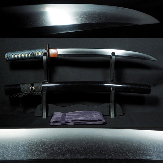 Japanese Sword Antique Wakizashi Shirasaya 無銘 Mumei 15.8 inch From Japan Katana