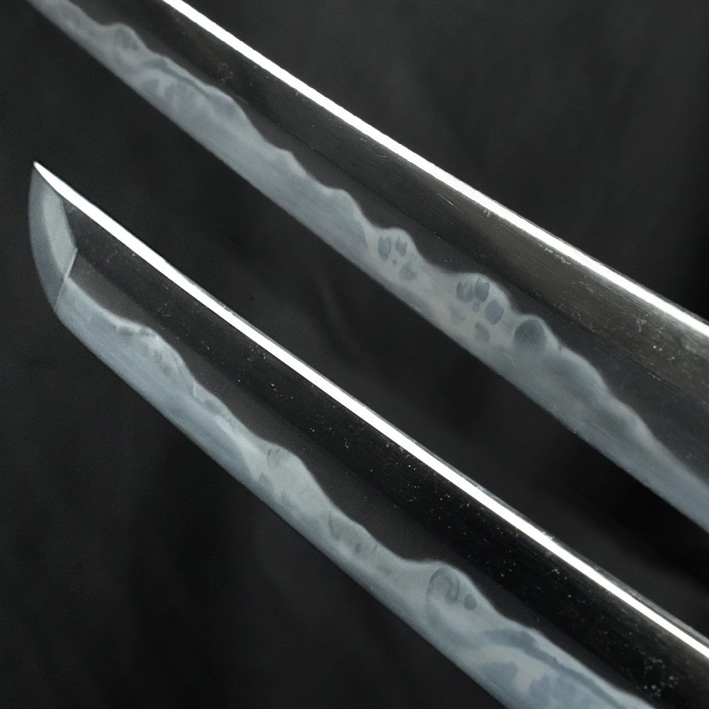 Japanese Antique Antique "Yamamoto Ichijōshi Tadakuni" Wakizashi 16.85 in NBTHK9