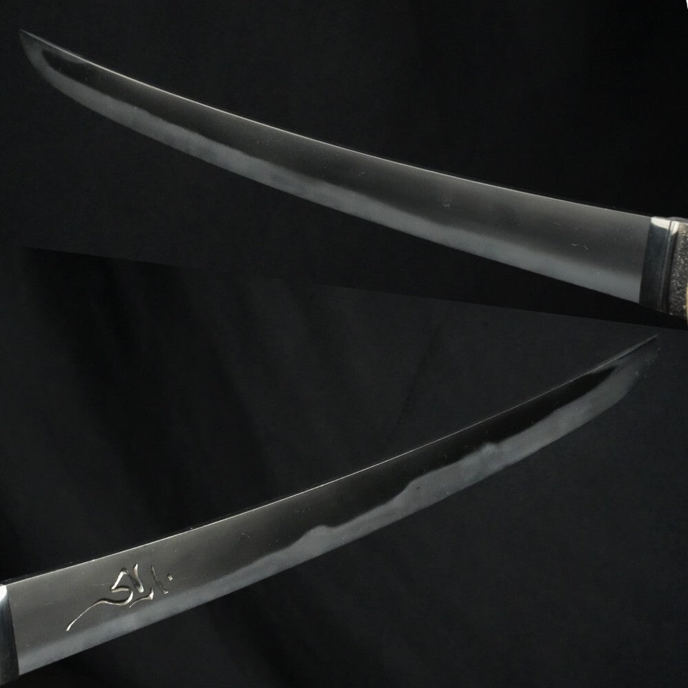 Japanese Sword Antique Wakizashi Shirasaya Unsigned 14.64 in From Japan Katana5