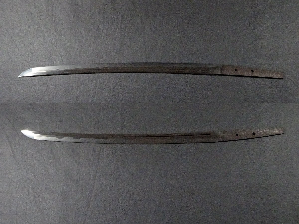 Japanese Sword Antique "Kawachi no kami Kunisuke" Wakizashi Shirasaya Katana1