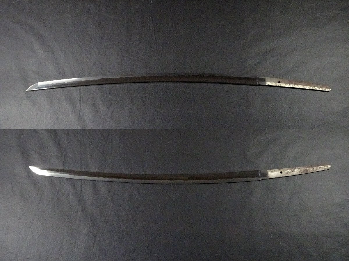 Japanese Sword Katana Showa era "hishu_ju Minamoto Morimitsu" 29.09 in Shirasaya2