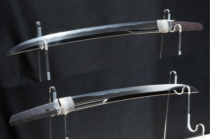 Antique Japanese Wakizashi Inshu Ju Toshitsuna 15.39in Shirasaya NBTHK From JPN8