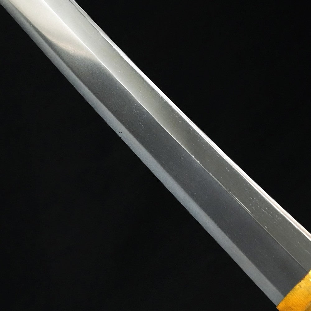 Japanese Sword Wakizashi Shirasaya Geishū-jū Fujiwara Fuyuhiro 21.14 in NBTHK7