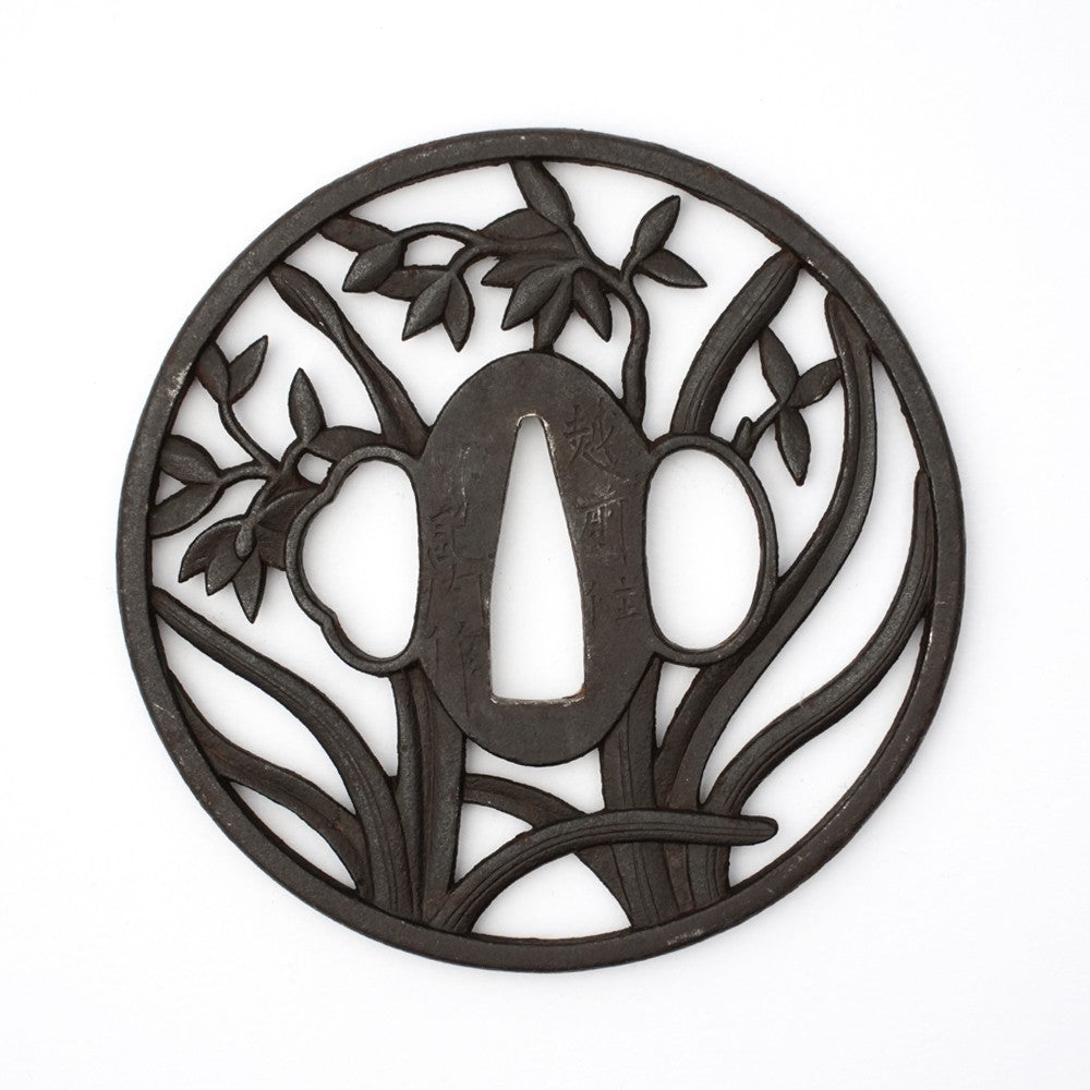 Tsuba Japanese Sword Accessory "Narcissus Etizennju Kinai" 3.23 in4
