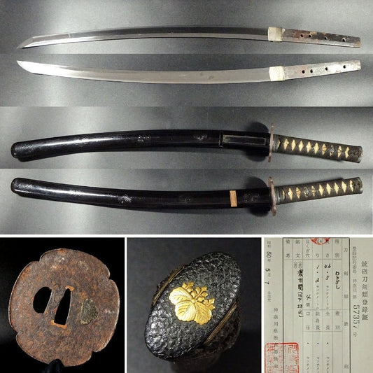 Japanese Antique Sword Wakizashi Koshirae Nōshū Seki (以下切）18.30 in From Japan0