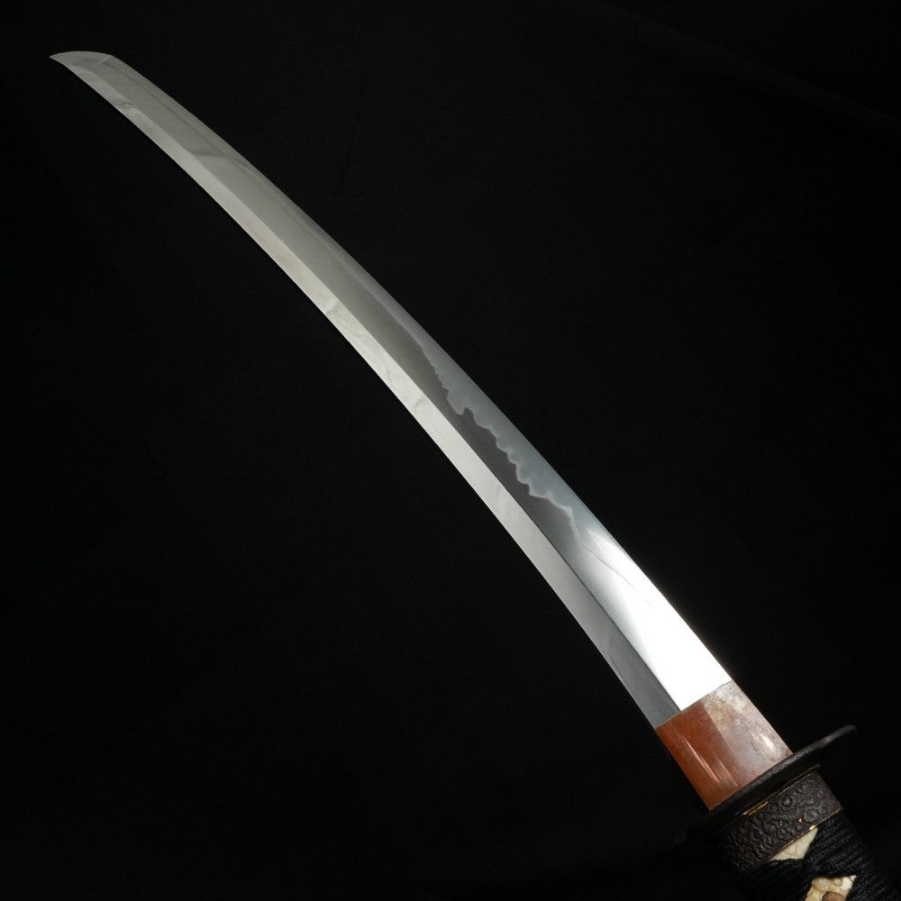 Japanese Sword Antique "Yokoyama Suke(naga)" Wakizashi Koshirae Certificate8