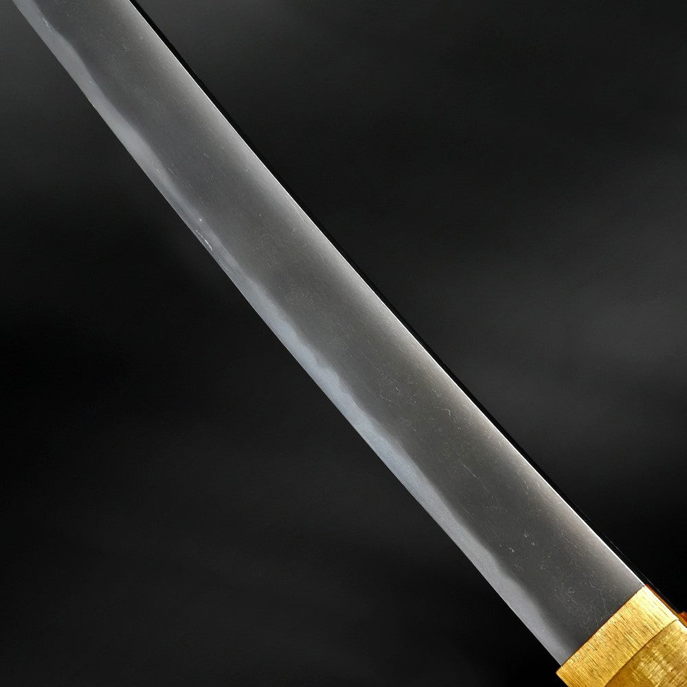 Japanese Sword Shirasaya "Bishuosahune Morimoto" 17.59in NBTHK4