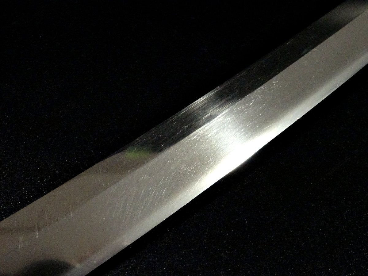 Japanese Antique Sword Wakizashi Koshirae Nōshū Seki (以下切）18.30 in From Japan11