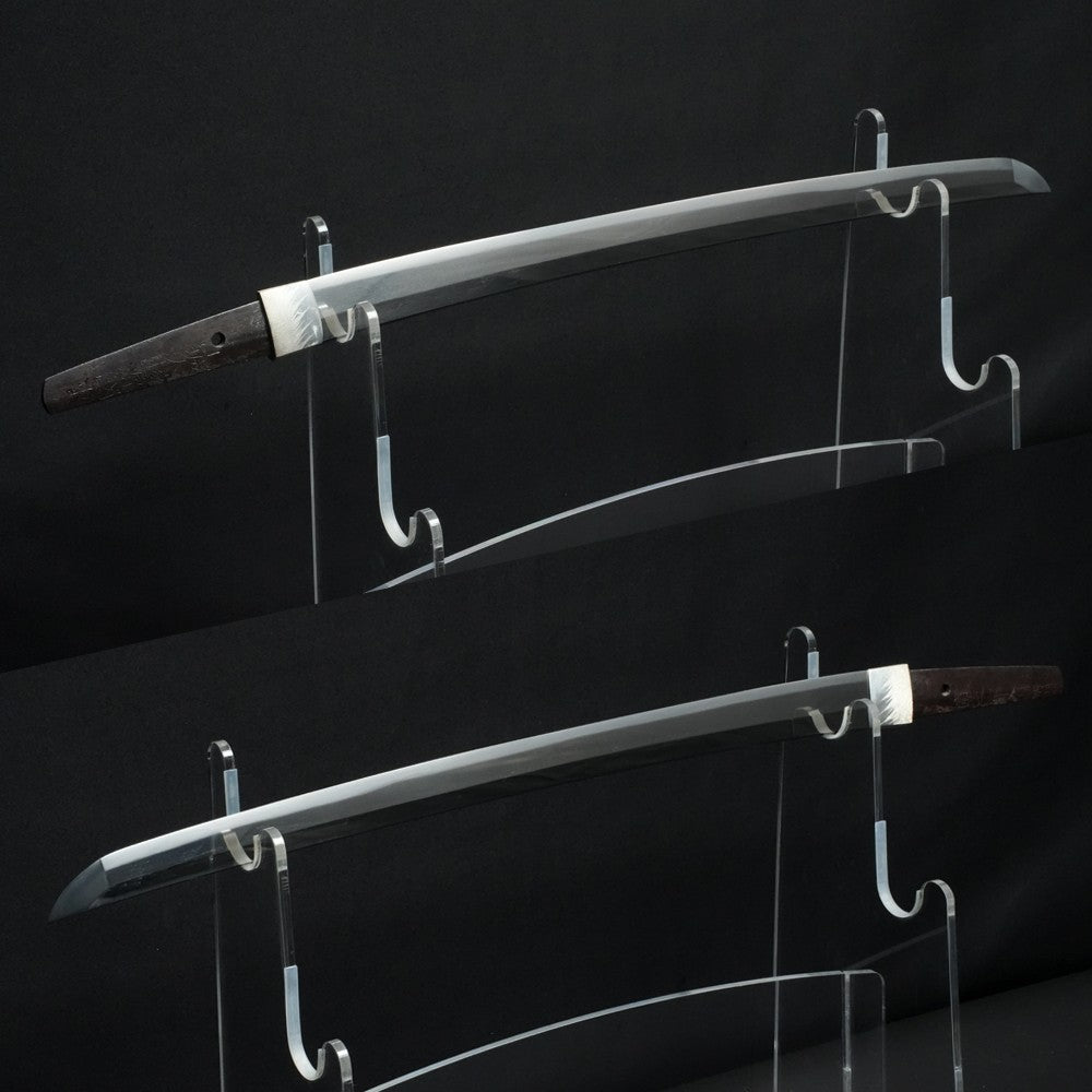 Japanese Sword Wakizashi Sirasaya Yamashiro Daijō Minamoto Kunishige3