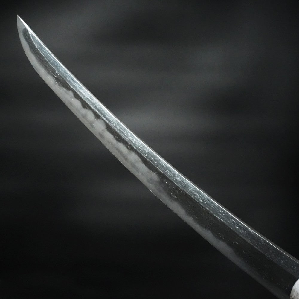 Japanese Katana "Masahiro" Wakizashi Shirasaya 15.19 in4