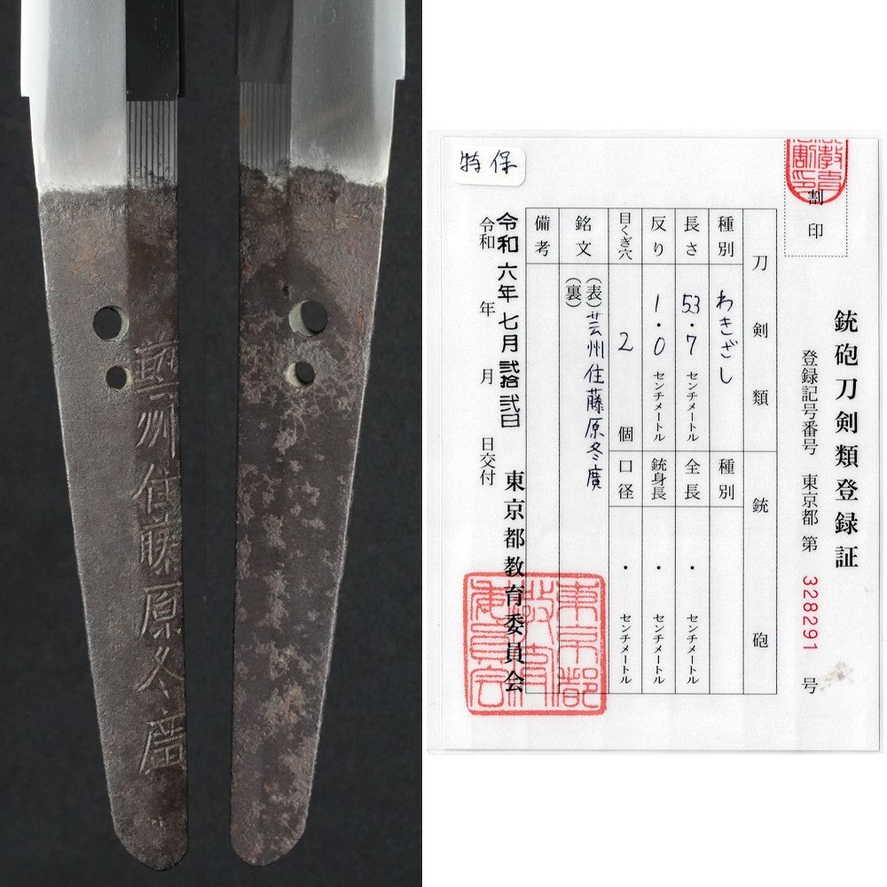Japanese Sword Wakizashi Shirasaya Geishū-jū Fujiwara Fuyuhiro 21.14 in NBTHK9
