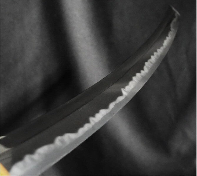 Japanese Sword Katana "Shoji Jirotaro Naokatsu" 25.18 in Koshirae NBTHK From JPN10