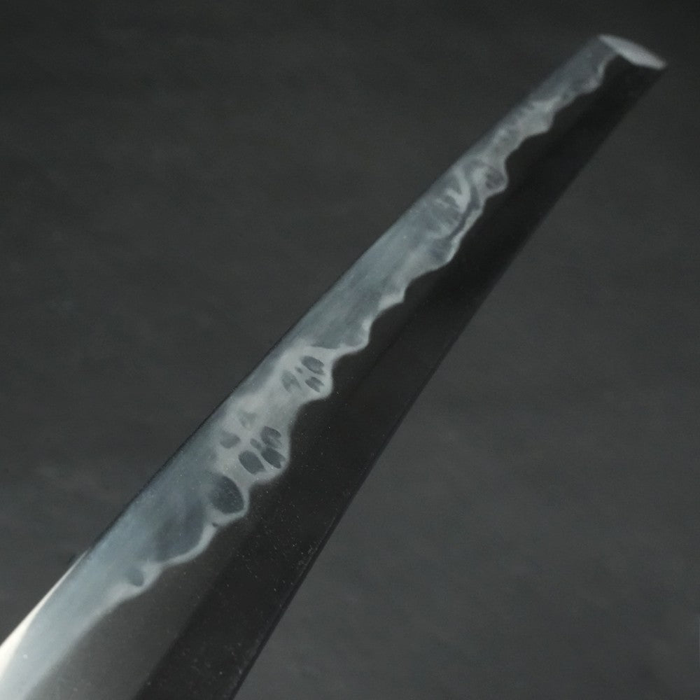 Japanese Antique Antique "Yamamoto Ichijōshi Tadakuni" Wakizashi 16.85 in NBTHK7