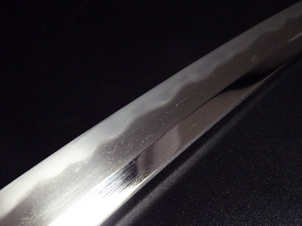 Japanese Sword Antique Echizennokami Sukehiro Wakizashi Shirasaya 18.66in Katana4