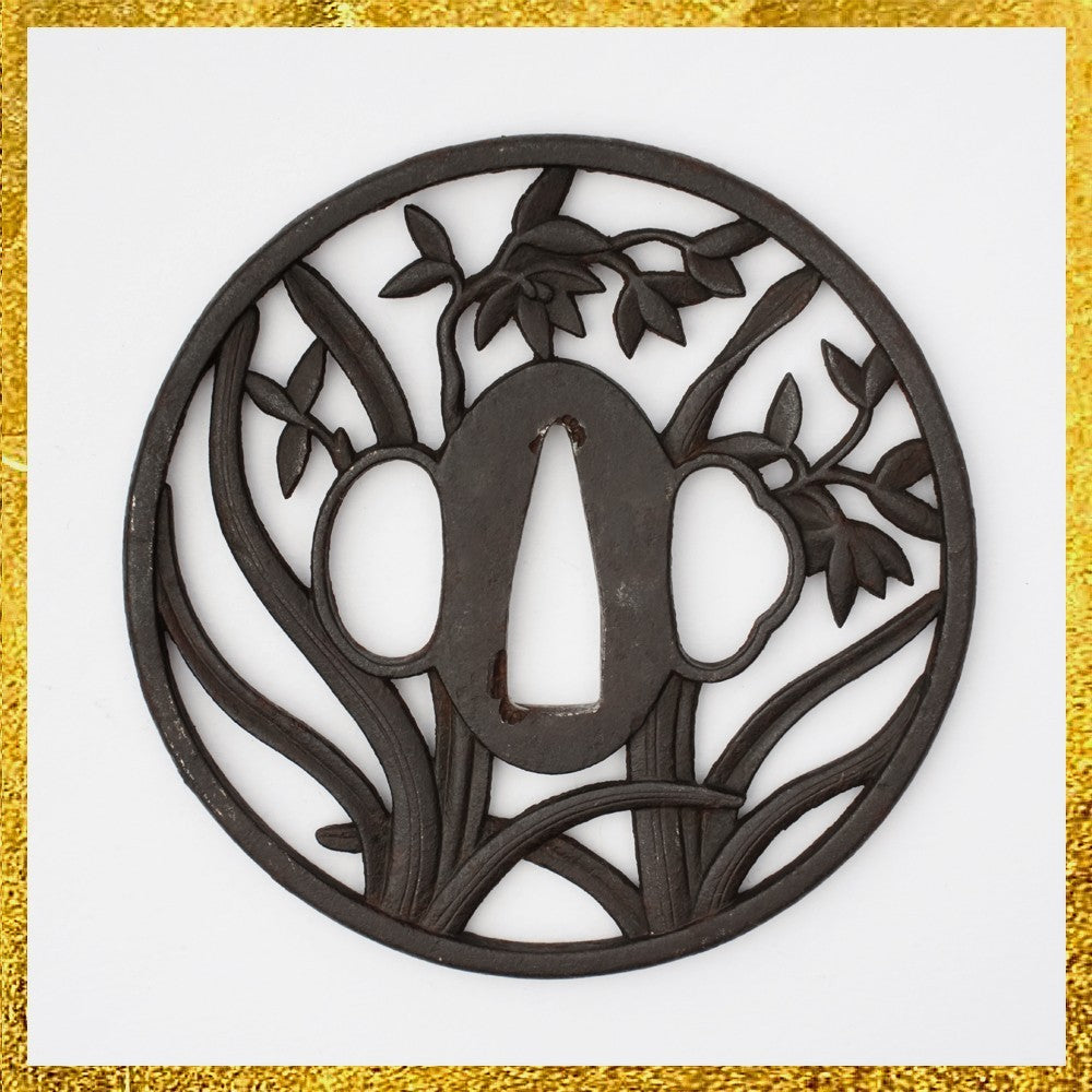 Tsuba Japanese Sword Accessory "Narcissus Etizennju Kinai" 3.23 in0