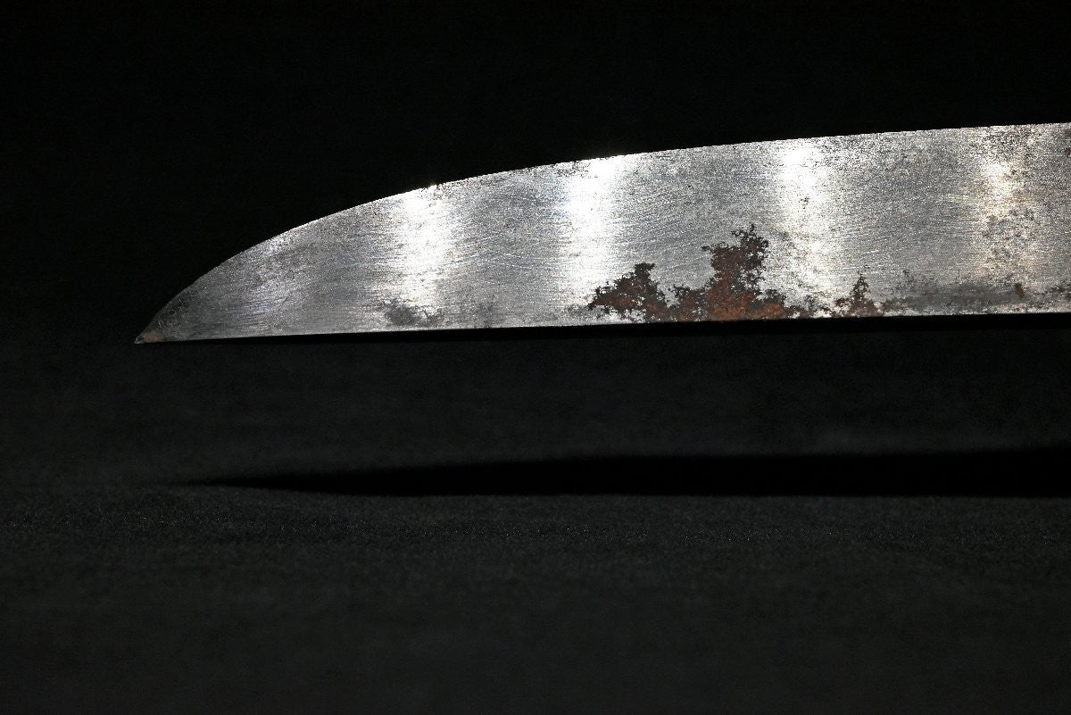 Japanese Sword  Antique Tanto Unsigned "Zaimei Unryū-zu Tsuba" 10.86 in6