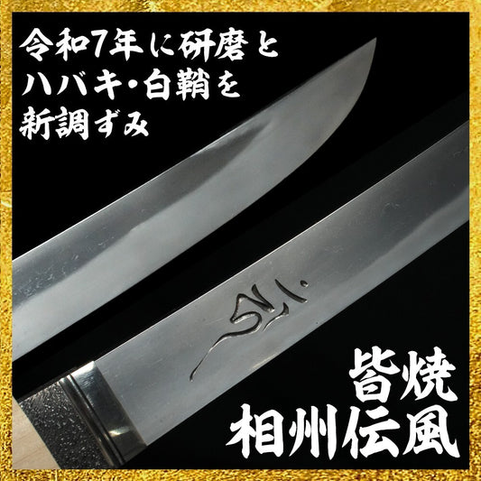 Japanese Sword Antique Wakizashi Shirasaya Unsigned 14.64 in From Japan Katana0