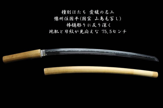 Japanese Sword Wakizashi "Yoshu Jyu Kunihira" Copy of National Treasure Yamadori0