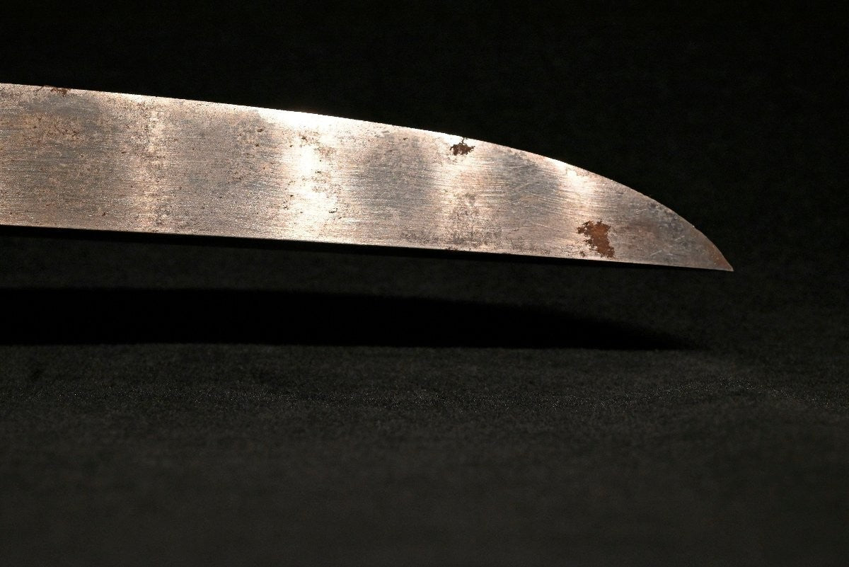 Japanese Sword  Antique Tanto Unsigned "Zaimei Unryū-zu Tsuba" 10.86 in7