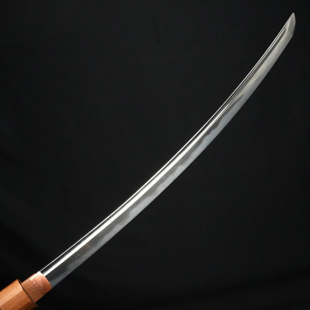 Japanese Sword Antique Wakizashi Sirasaya Mumei Unsigned 19.29 in3