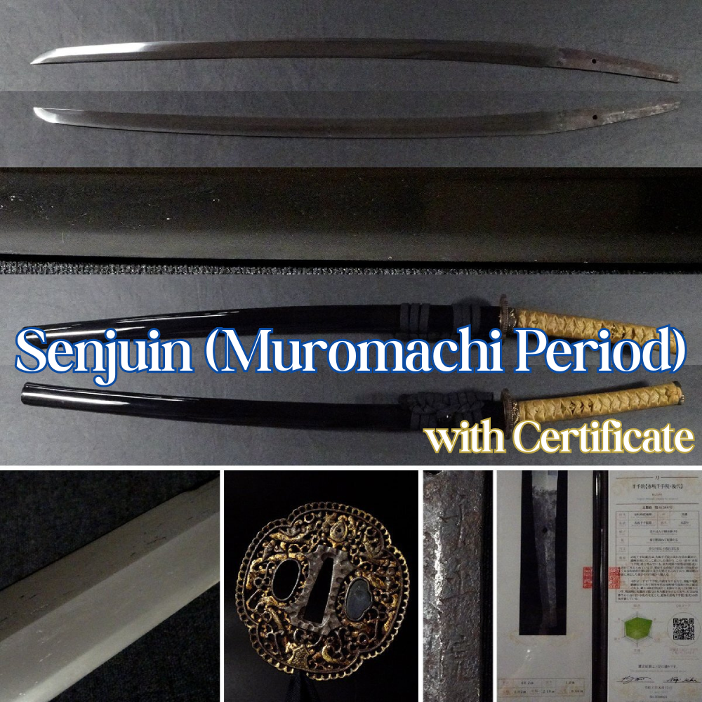 Japanese Sword Antique Senjuin (Muromachi Era) with Certificate Katana Koshirae0