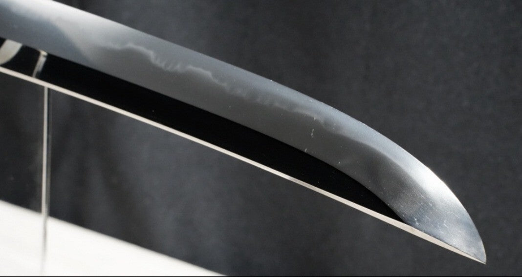 Antique Japanese Wakizashi Inshu Ju Toshitsuna 15.39in Shirasaya NBTHK From JPN10