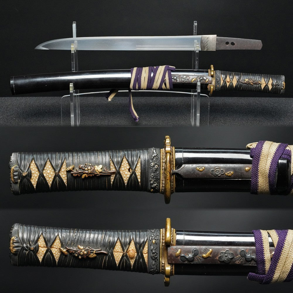 Japanese Samurai Sword Antique  Wakizashi  Naminohira Hisanobu  12.32in  NBTHK1
