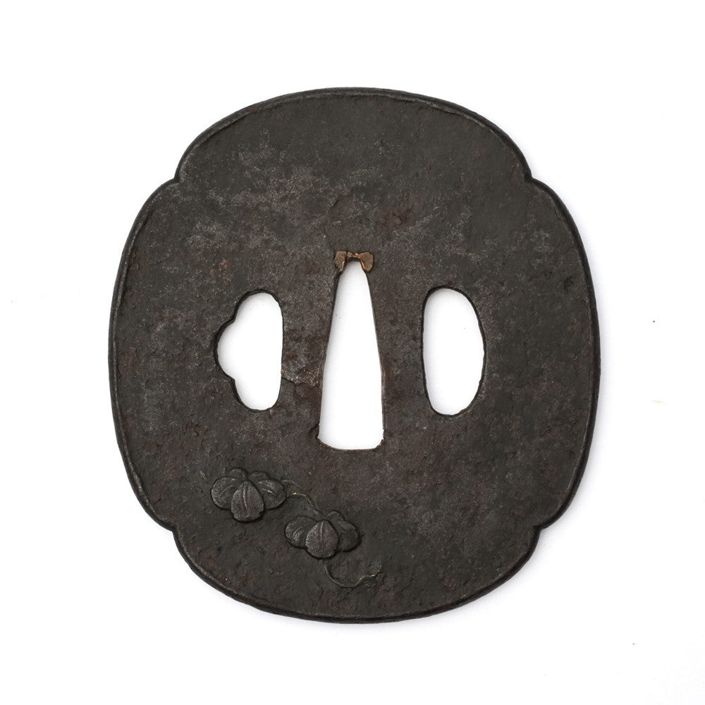 Tsuba Japanese Sword Accessory mantis 3.36 in From Japan3