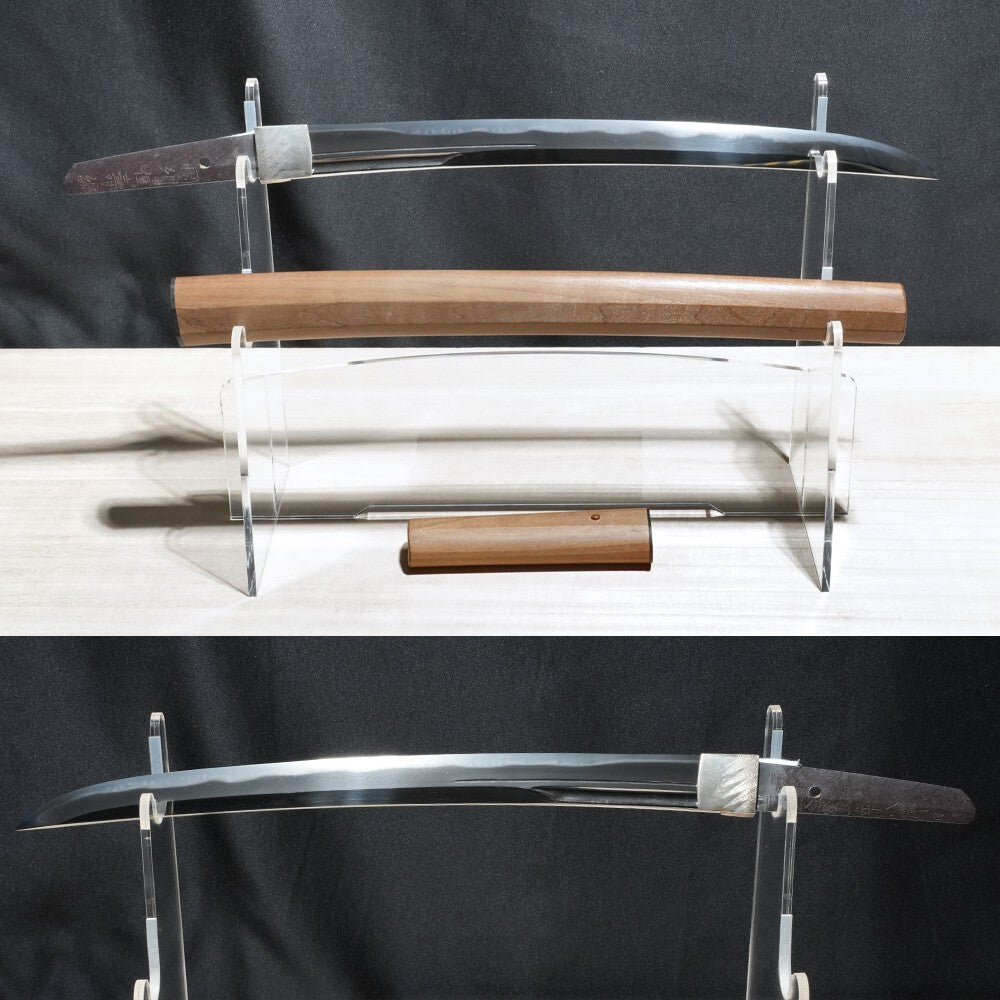 Antique Japanese Wakizashi Inshu Ju Toshitsuna 15.39in Shirasaya NBTHK From JPN0