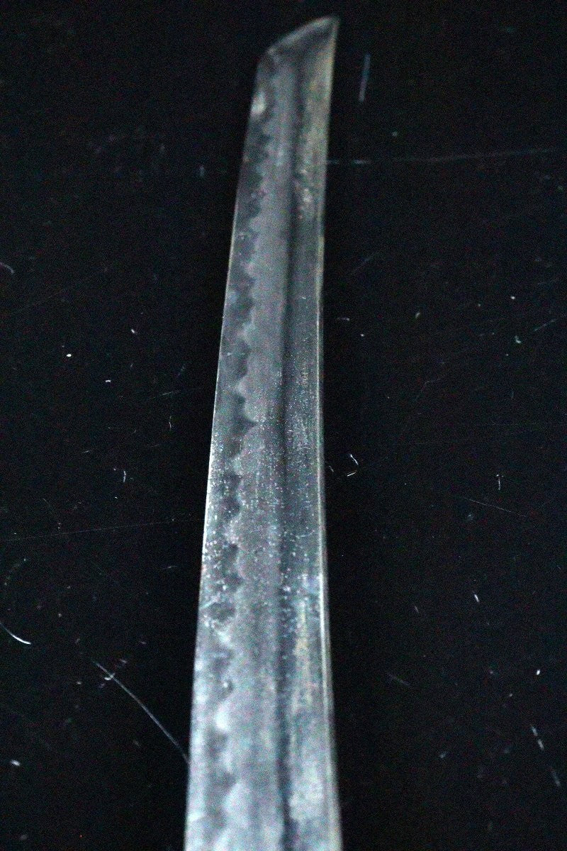 Japanese Katana "Seki-jū Mōri Kunimoto saku" Koshirae 26.24 in12