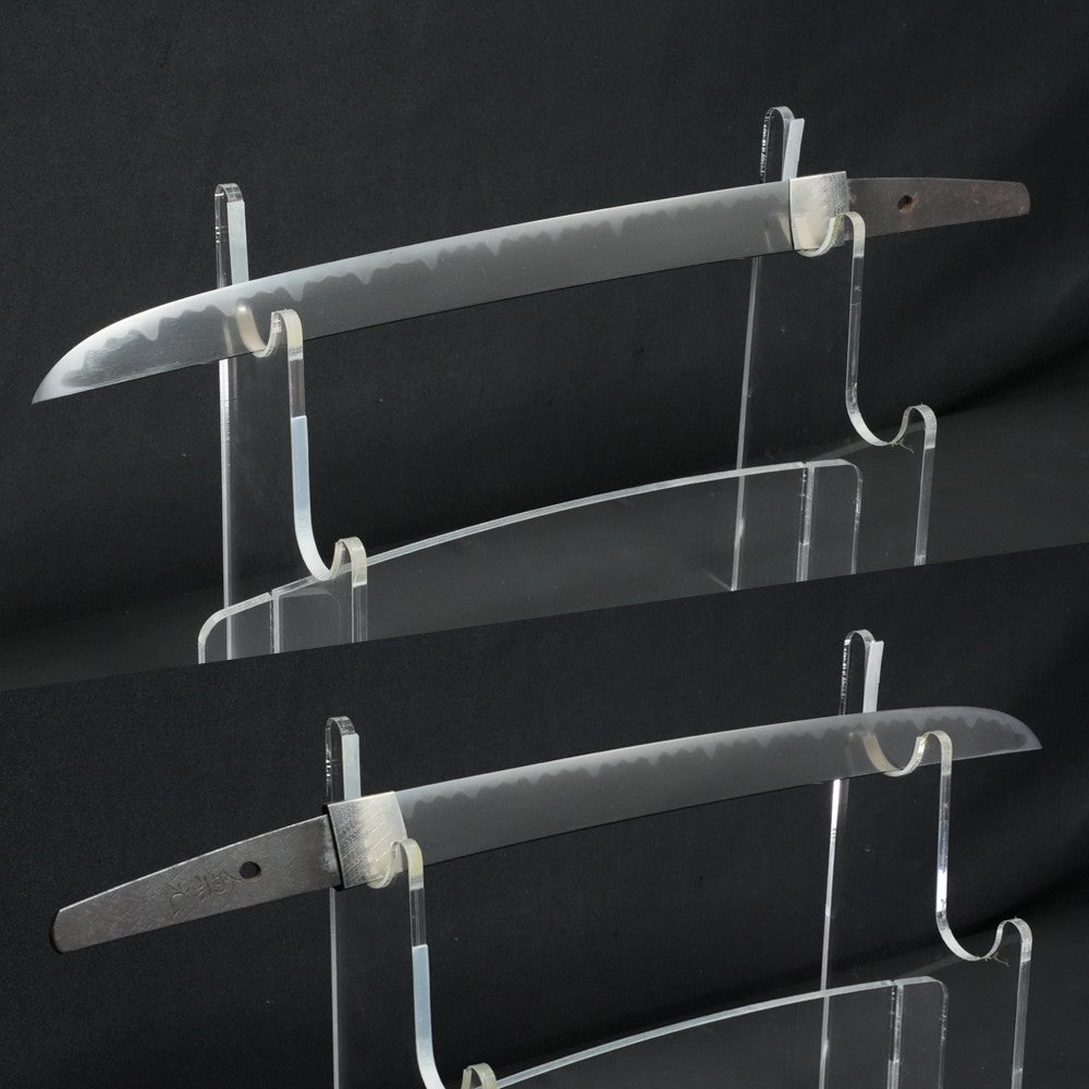Japanese Sword Tanto Shirasaya Kanemoto (The ninth-generation) 11.77in certified3