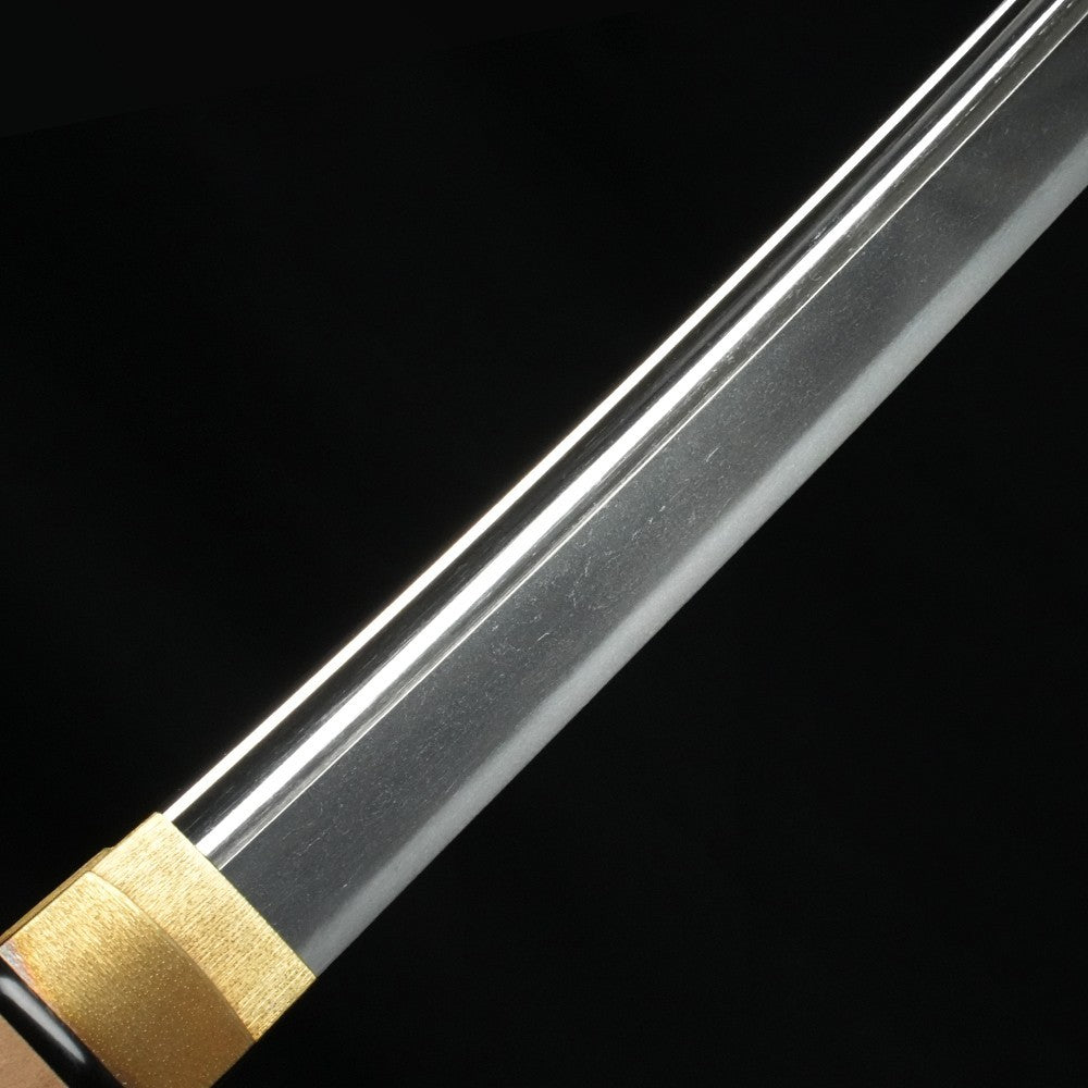Japanese Sword Antique Katana Shirasaya Unsigned (Enju)  25.03 in From JPN NBTHK8