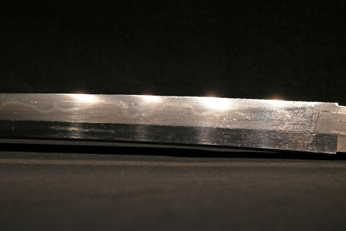 Japanese Sword antique Wakizashi "Tsuda Ōmi no Kami Sukenao" Tōranba 17.51 in7