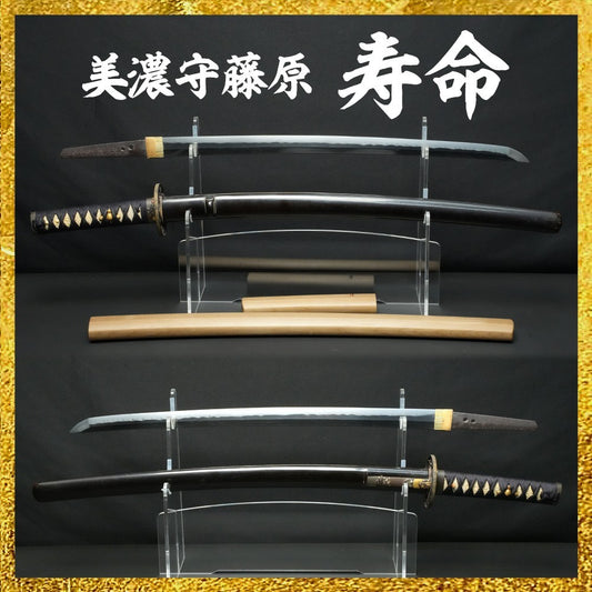 Japanese Antique Sword Wakizashi Shirasaya Minonokami Fujiwara Jumyo 21.61 in0