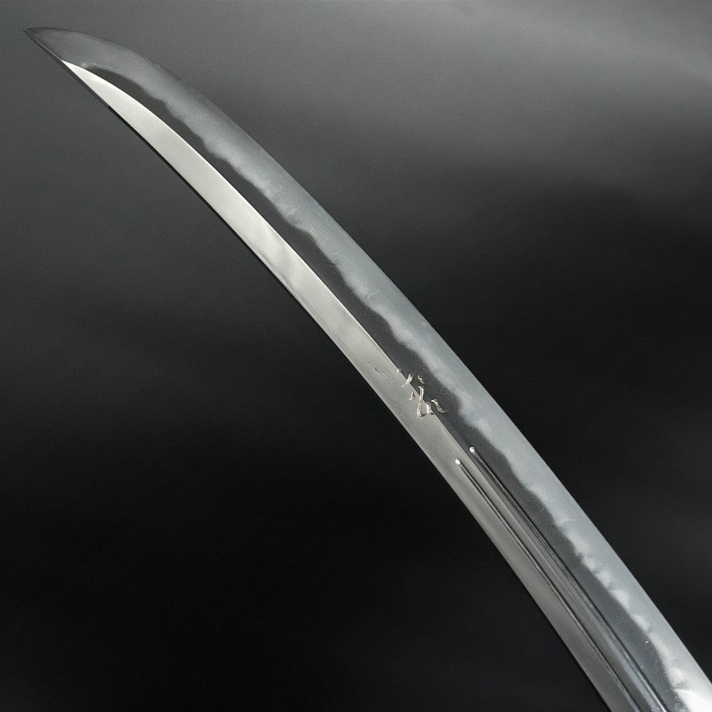 Japanese Katana Antique Wakizashi Fujishima, resident of Echizen 15.70in4
