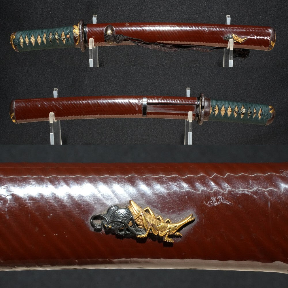 Japanese Sword Antique "Tomomitsu" Tanto Koshirae 9.72 inch From Japan Katana1