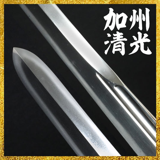 Japanese Sword Tanto Shirasaya Unsigned (Shintō Kashū Kiyomitsu) 9.92 in NBTHK0