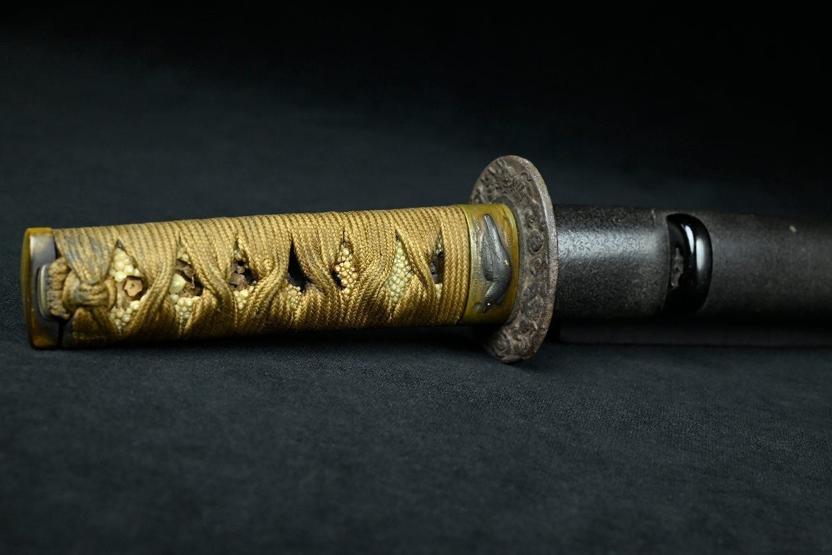 Japanese Sword  Antique Tanto Unsigned "Zaimei Unryū-zu Tsuba" 10.86 in21