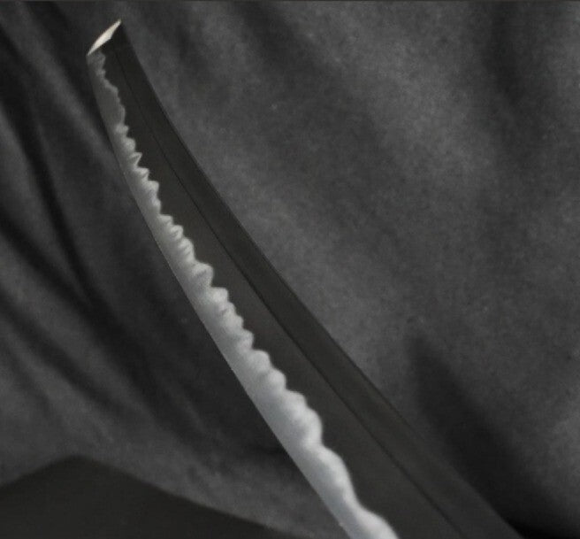 Japanese Sword Katana "Shoji Jirotaro Naokatsu" 25.18 in Koshirae NBTHK From JPN11