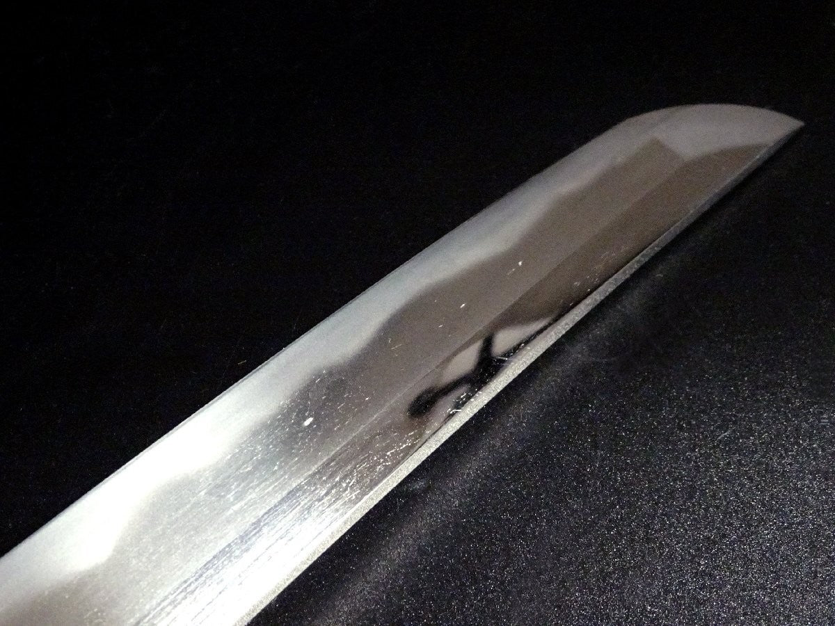 Japanese Sword Antique Echizennokami Sukehiro Wakizashi Shirasaya 18.66in Katana3