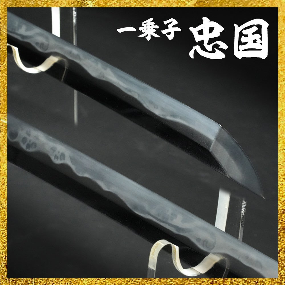 Japanese Antique Antique "Yamamoto Ichijōshi Tadakuni" Wakizashi 16.85 in NBTHK6