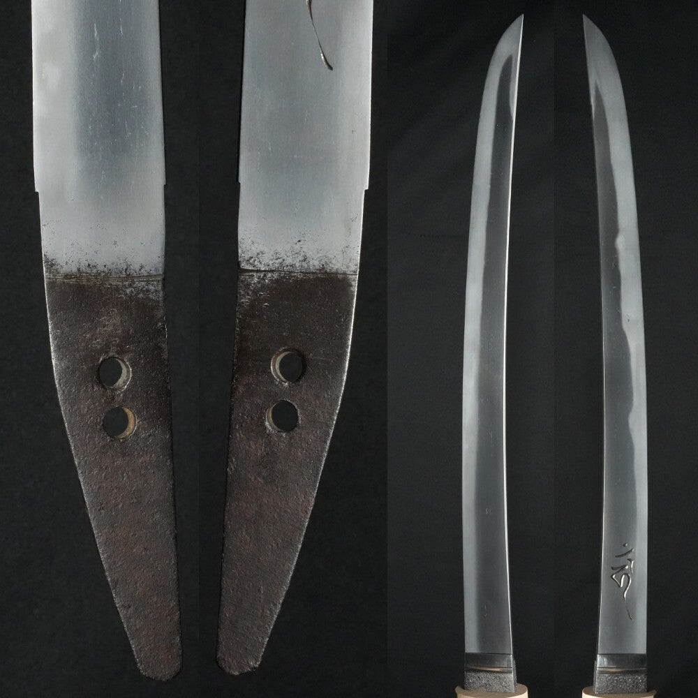 Japanese Sword Antique Wakizashi Shirasaya Unsigned 14.64 in From Japan Katana4