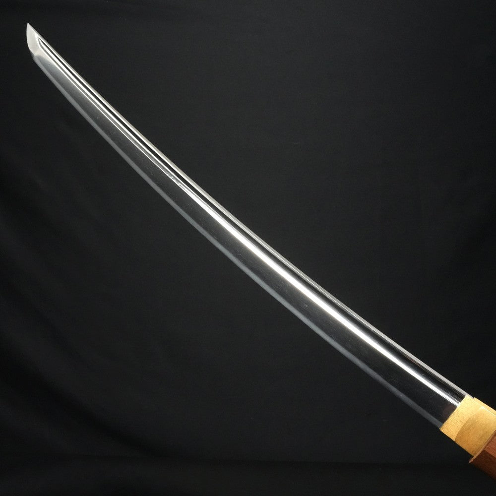 Japanese Sword Wakizashi Sirasaya Yoshitsugu(late Muromachi period)19.60in NBTHK6