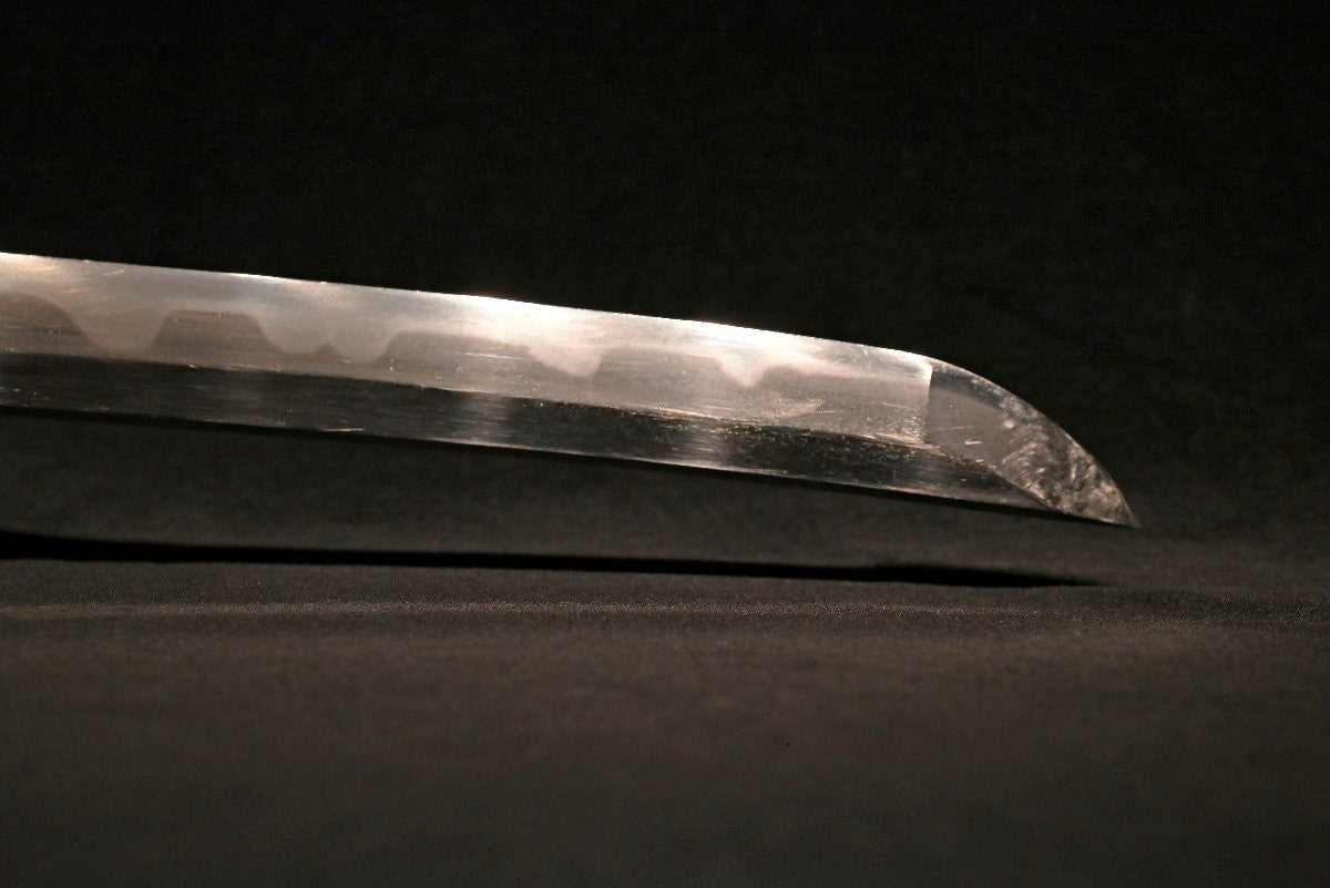 Japanese Sword antique Wakizashi "Tsuda Ōmi no Kami Sukenao" Tōranba 17.51 in6