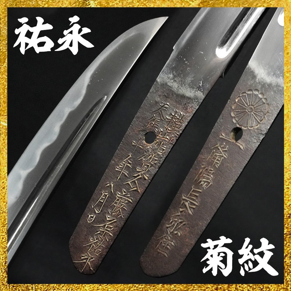 Japanese Sword Wakizashi Shirasaya Yokoyama Kaga nosuke Fujiwara Sukenaga 13.9in0