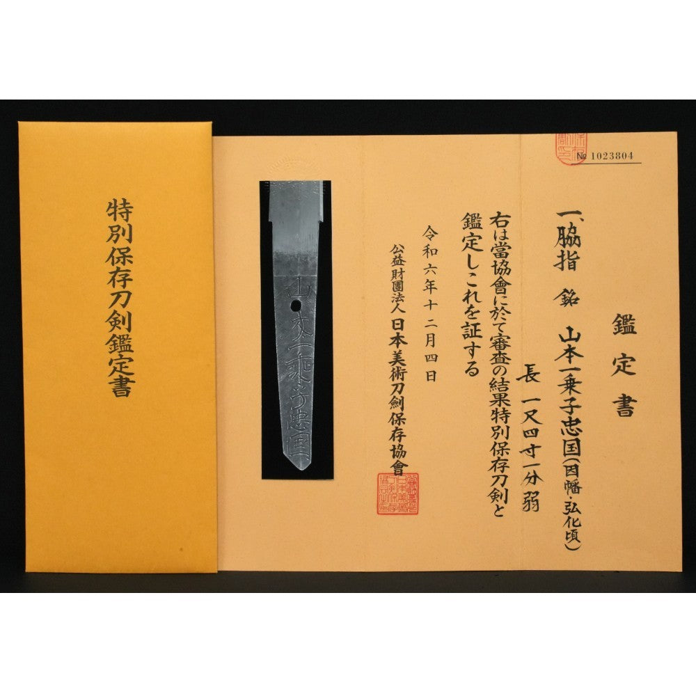 Japanese Antique Antique "Yamamoto Ichijōshi Tadakuni" Wakizashi 16.85 in NBTHK1