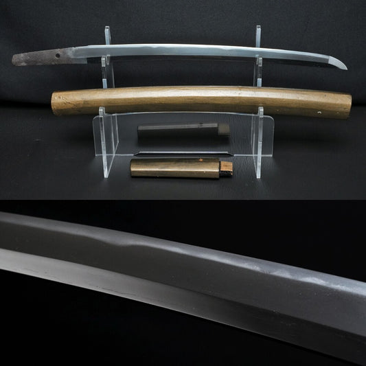 Japanese Antique Samurai Sword "Hizen Ju Yoshihide" Wakizashi Shirasaya 14.92 in0