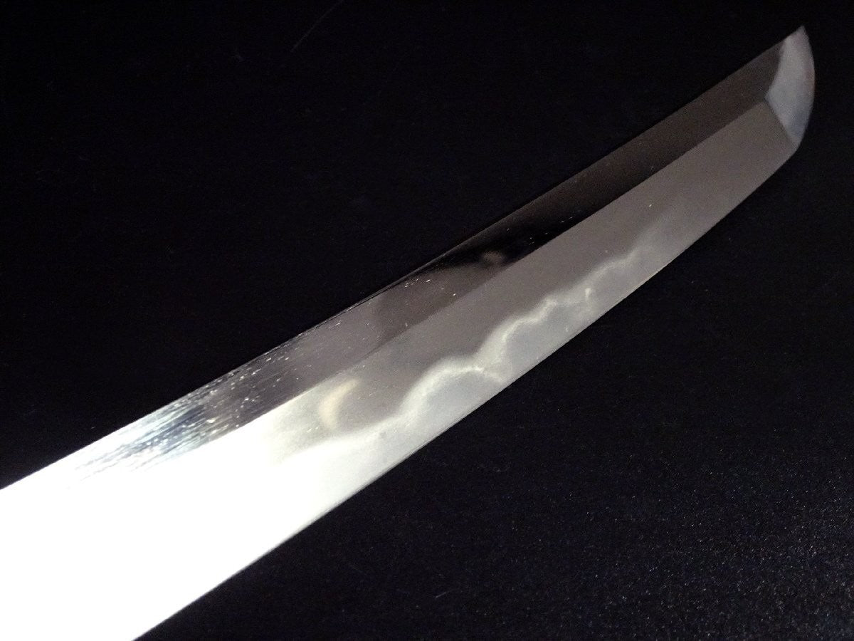 Japanese Sword Antique Echizennokami Sukehiro Wakizashi Shirasaya 18.66in Katana6